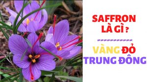 SAFFRON LÀ GÌ