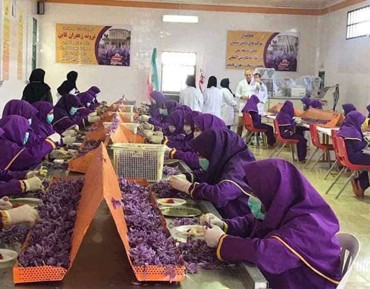 SAFFRON GIA VỊ TIỀN TỈ 3 4ecc1148d572282c7163