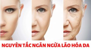 Nguyên tắc ngăn ngừa lão hóa da