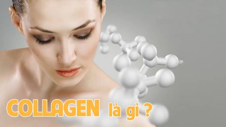 COLLAGEN LÀ GÌ? 1 COLLAGEN LÀ GÌ?
