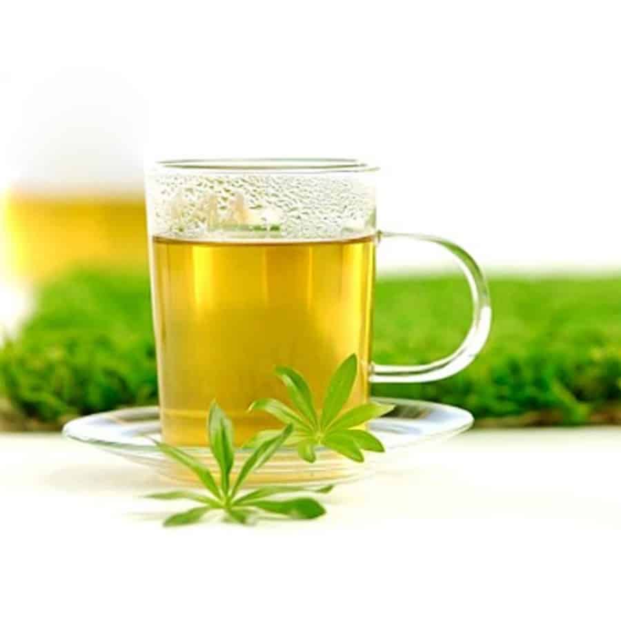 Thảo Dược Việt Nam - Giảo Cổ Lam 3 Trà Giảo Cổ Lam có tác dụng rất tối trong việc thanh nhiệt giải độc