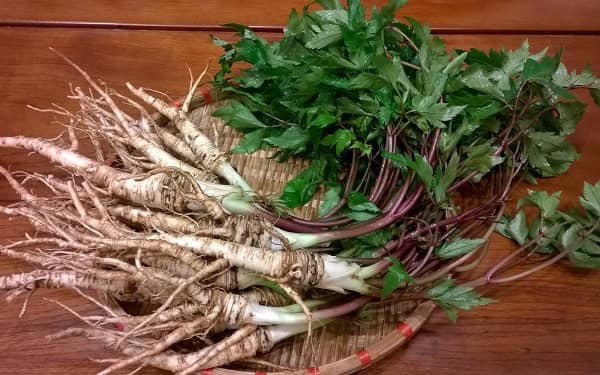 Thảo Dược Việt Nam - Đương Quy 2 Đương Quy