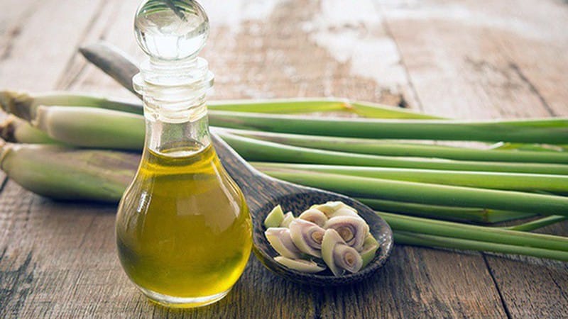 Thảo Dược Việt Nam - Cây Sả 3 Tinh Dầu Sả