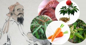 Bật mí 5 thảo dược ngừa u xơ u nang