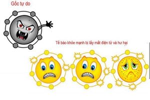 Gốc tự do gây nguy hiểm đối với sức khỏe cơ thể