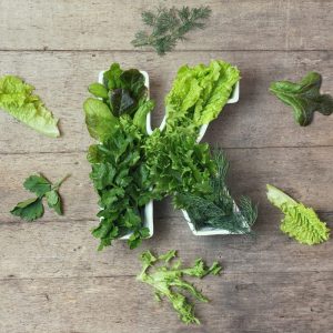 Thiết kế không tên 19