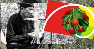 Thầy phù thủy điều chế thảo dược