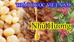 anh bia nhu huong