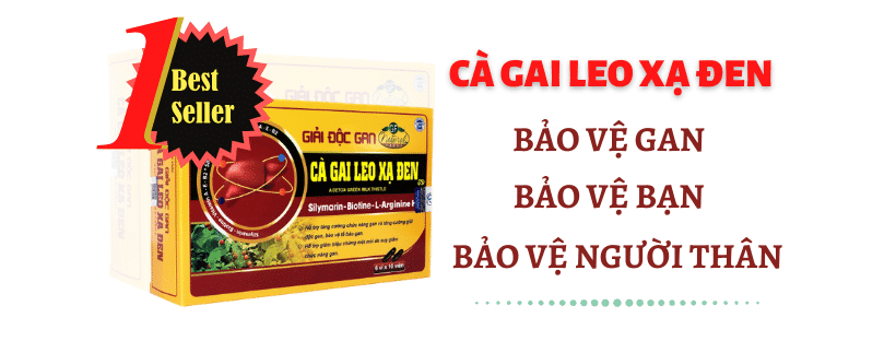 Cà Gai Leo Xạ Đen - Giải độc mát GAN hiệu quả nhất 10 ca gai leo 1 removebg preview