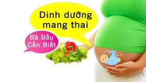dinh dưỡng mang thai bà bầu cần biết