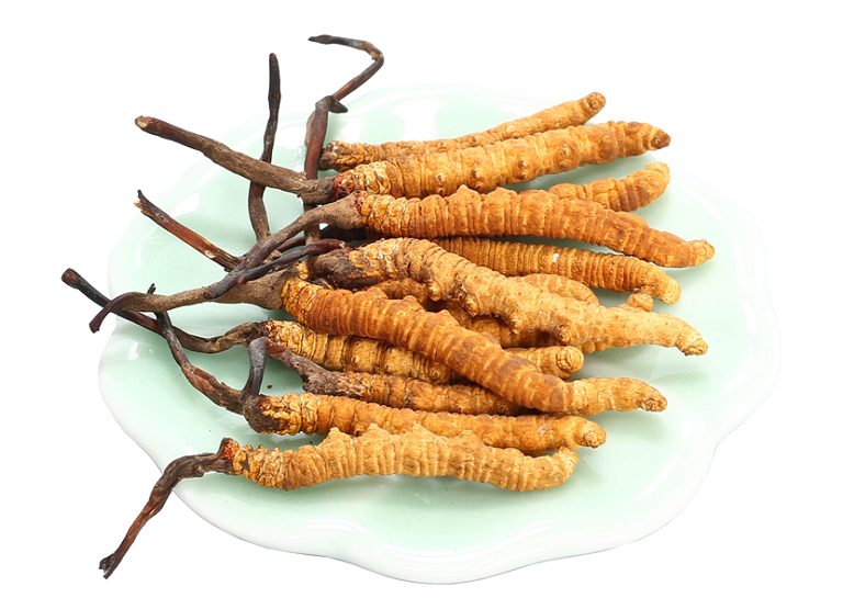 Tác Dụng Của Đông Trùng Hạ Thảo Với Sức Khỏe Con Người! 1 Tác Dụng Của Đông Trùng Hạ Thảo Với Sức Khỏe Con Người!