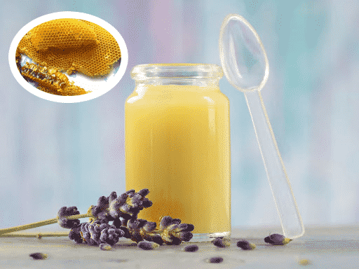 Sữa Ong Chúa Có Tác Dụng Gì? 1 Sữa Ong Chúa