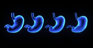 nh Thumb Website 3 1