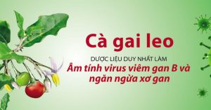 nh Thumb Website 5 1