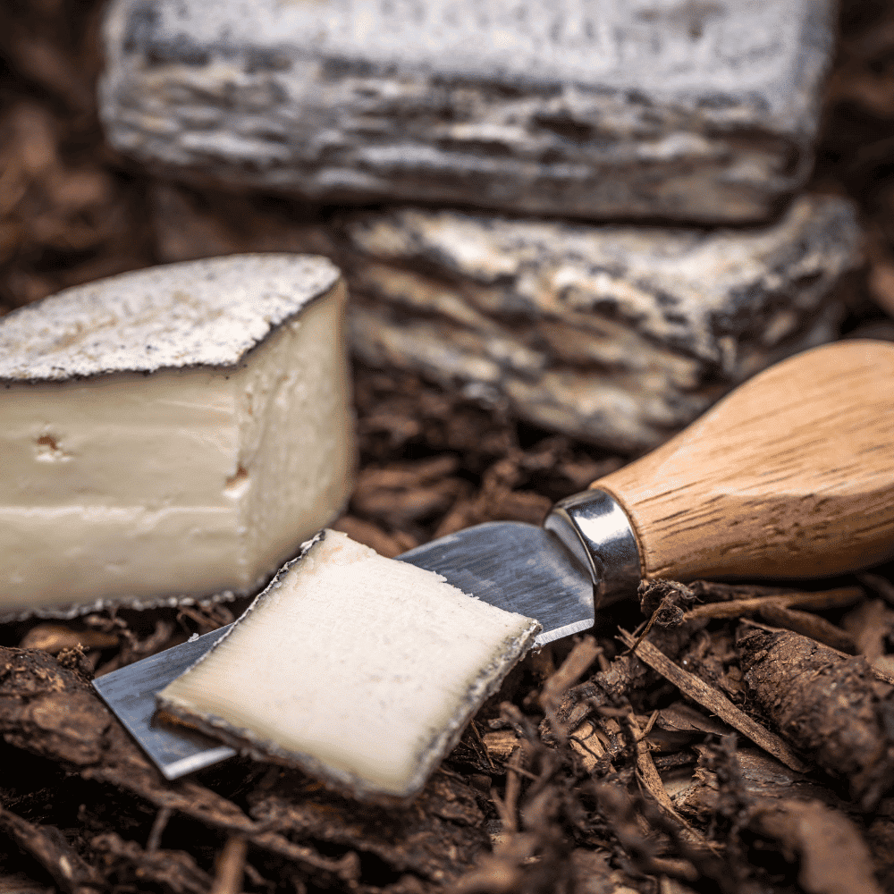 Thực phẩm mẹ bầu cần kiêng khi mang thai