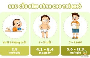 KẼM NGUYÊN TỐ VI LƯỢNG QUAN TRỌNG TRONG DINH DƯỠNG CỦA TRẺ 3 NHU CẦU KẼM DÀNH CHO TRẺ NHỎ