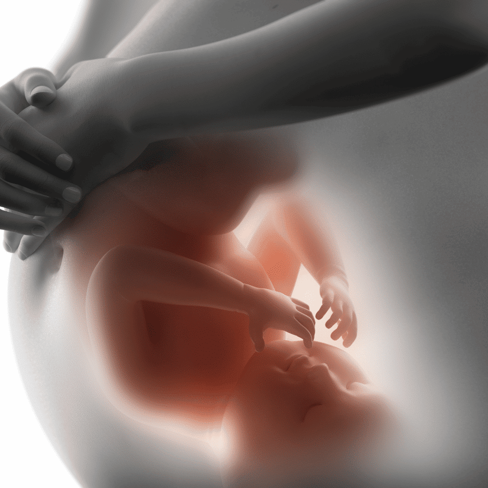 Mẹ bầu nên ăn gì khi bị thiếu nước ối