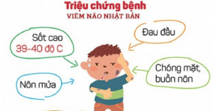 Viêm não Nhật Bản ở trẻ em 1