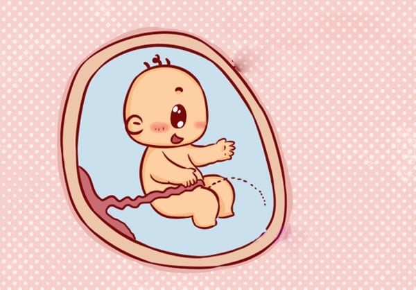 Nước ối sinh từ đâu ra? 1 Nước ối sinh từ đâu ra?