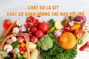 tầm quan trọng của chất xơ đối với trẻ