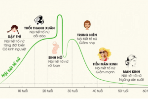 Nội tiết tố nữ