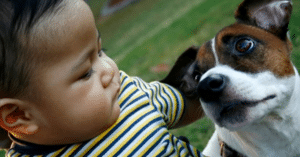 bệnh dại ở trẻ em