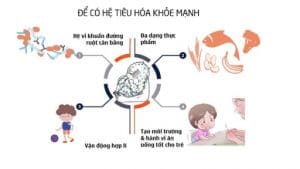 giải pháp để trẻ có hệ tiêu hóa khỏe mạnh