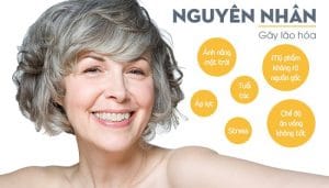 LÃO HÓA " THỦ PHẠM GIẤU MẶT " CỦA CHỊ EM PHỤ NỮ 1 nguyên nhân gây lão hóa
