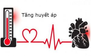 rối loạn nội tiết tố dẫn đến tăng huyết áp