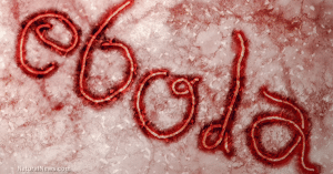 virus ebola