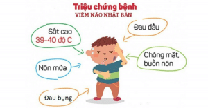 viêm não nhật bản