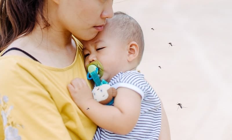 Viêm não Nhật Bản: Nguyên nhân và cách điều trị 1 viêm não nhật não