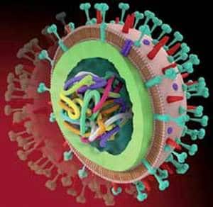 viêm tiểu phế quản 