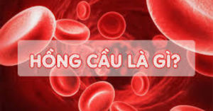 hồng cầu là gì
