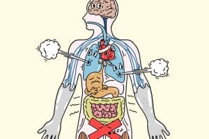Ảnh Hưởng Của Áp Lực Tâm Lý Đến Sức Khỏe 2 what stress does to the body thumbnail