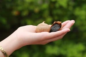 Những Công Dụng Bất Ngờ Của Tỏi Đen 2 công dụng của tỏi đen