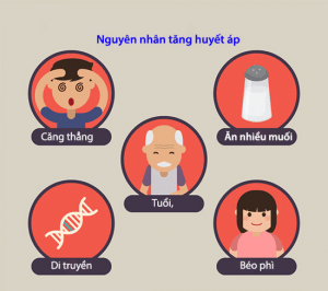 Cao Huyết Áp Nguy Hiểm Như Thế Nào? 3 Một số nguyên nhân tăng nguy cơ cao huyết áp
