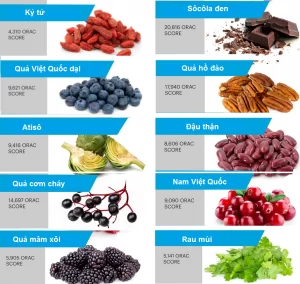 Tìm Hiểu Về Chất Chống Oxy Hóa 4 Những loại thực phẩm chứa nhiều chất chống Oxy hóa