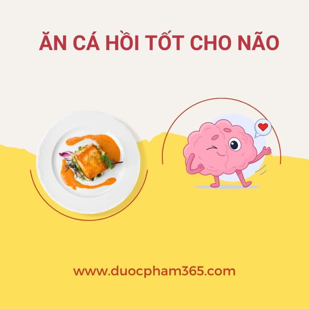 an ca hoi tot cho nao