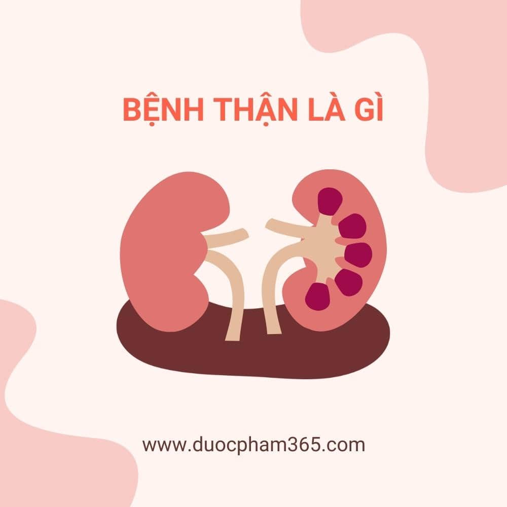 Các bệnh lý về thận bạn nên biết 1 Bệnh thận là gì?