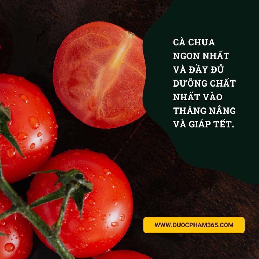 Những thực phẩm có thể gây dậy thì sớm ở trẻ 4 Nhiều người có thói quen cho con ăn thực phẩm yêu thích dù không đúng mùa