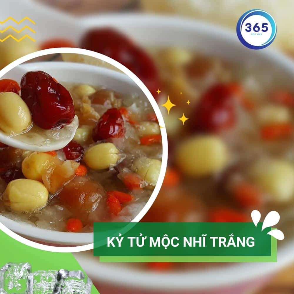 6 bài thuốc bổ dưỡng đơn giản với kỷ tử 2 ky tu moc nhi trang