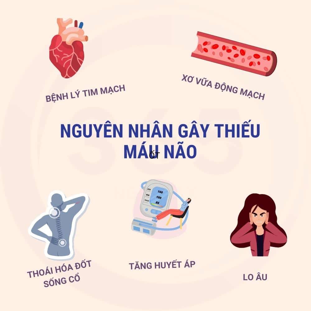 nguyen nhan gay thieu mau nao