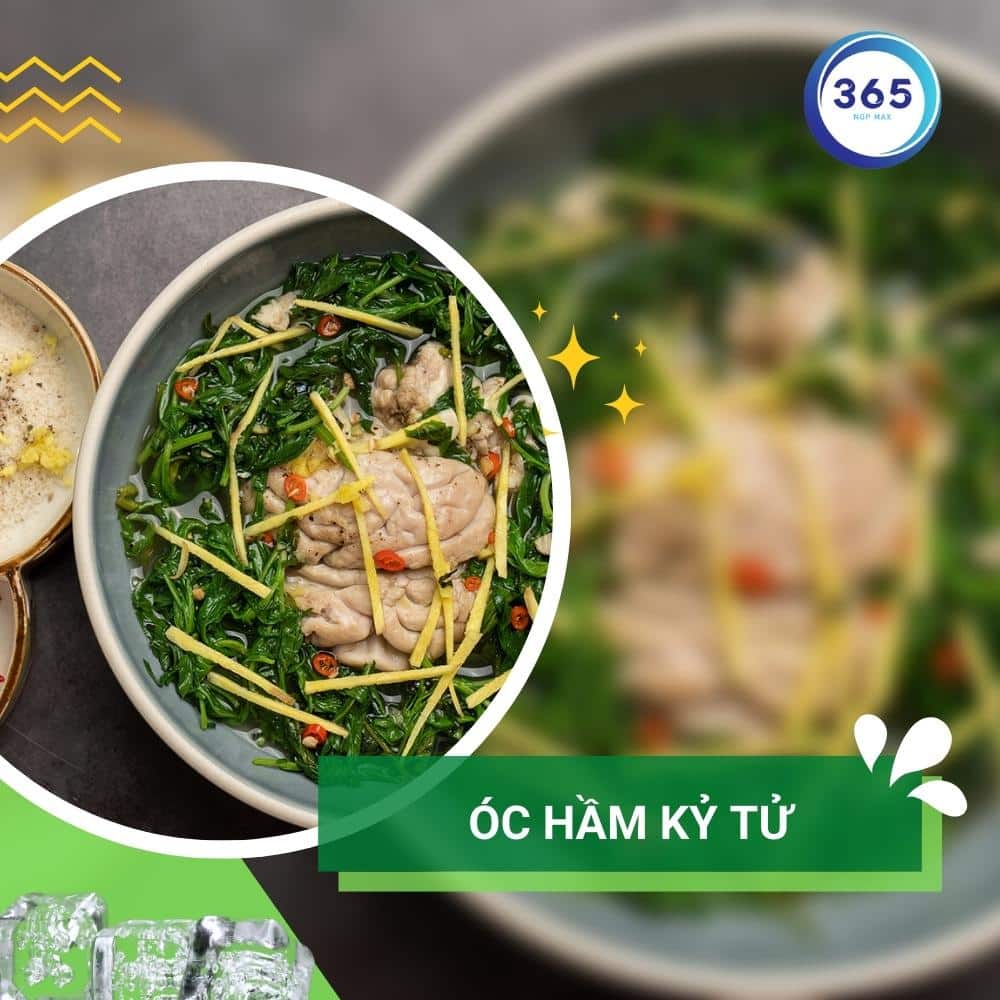 6 bài thuốc bổ dưỡng đơn giản với kỷ tử 1 Kỷ từ hầm óc heo là món được nhiều người yêu thích