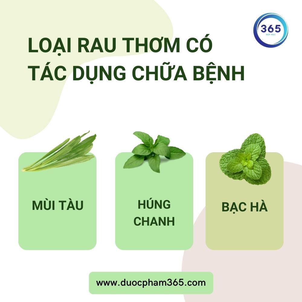 Các loại rau thơm có tác dụng chữa bệnh cực tốt 5 rau thom co tac dung chua benh