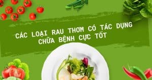 rau thom co tac dung tri benh