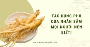 tac dung phu cua nhan sam moi nguoi nen biet