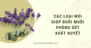 cac loai mui giup duoi muoi