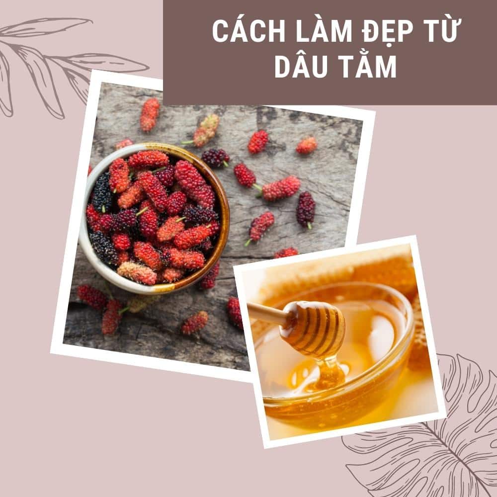 Dâu tằm: thứ quả dân dã giúp làm đẹp da, chữa tóc bạc sớm 4 cach lam dep tu dau tam