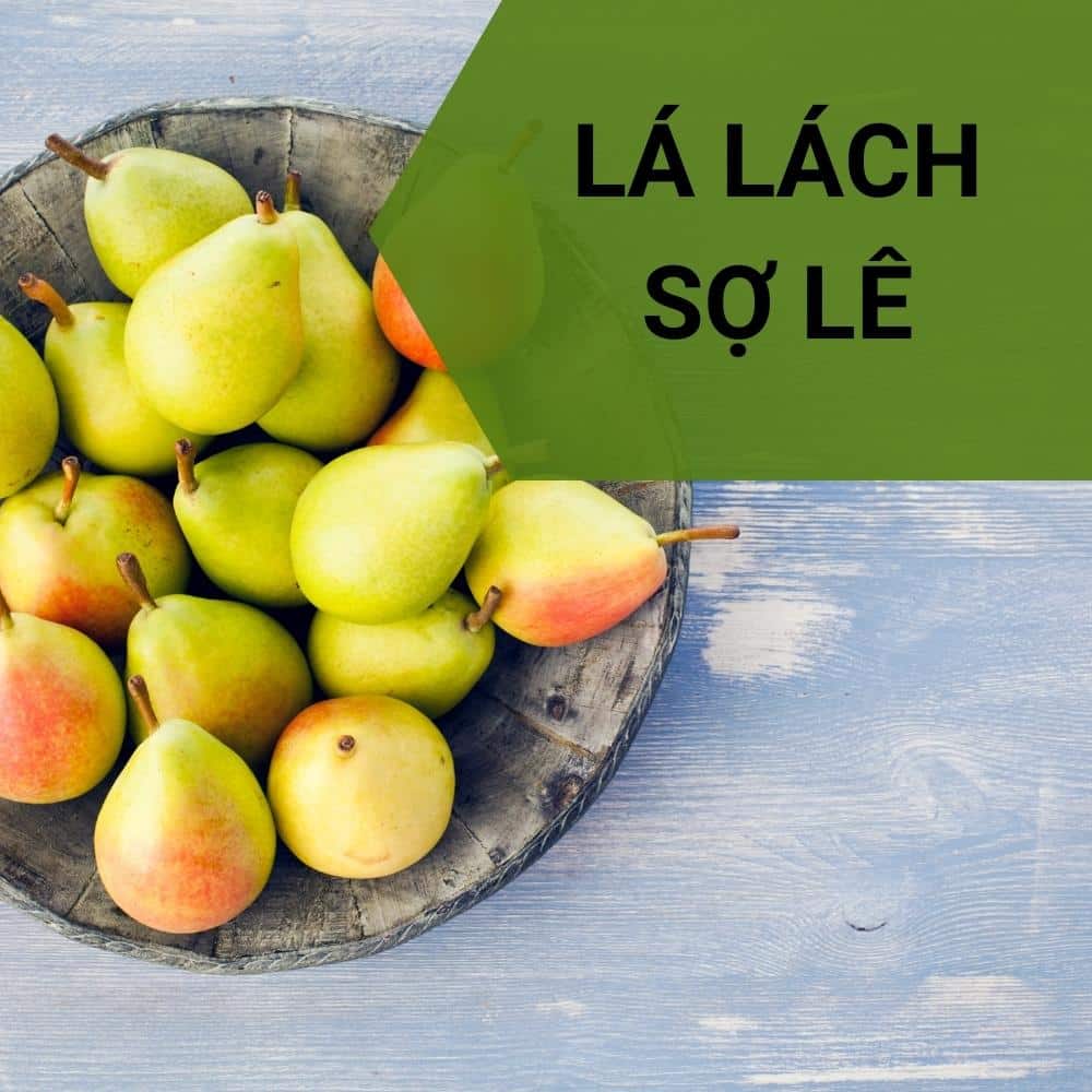 la lach so le